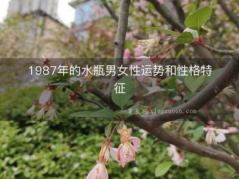 1987年的水瓶男女性運勢和性格特征