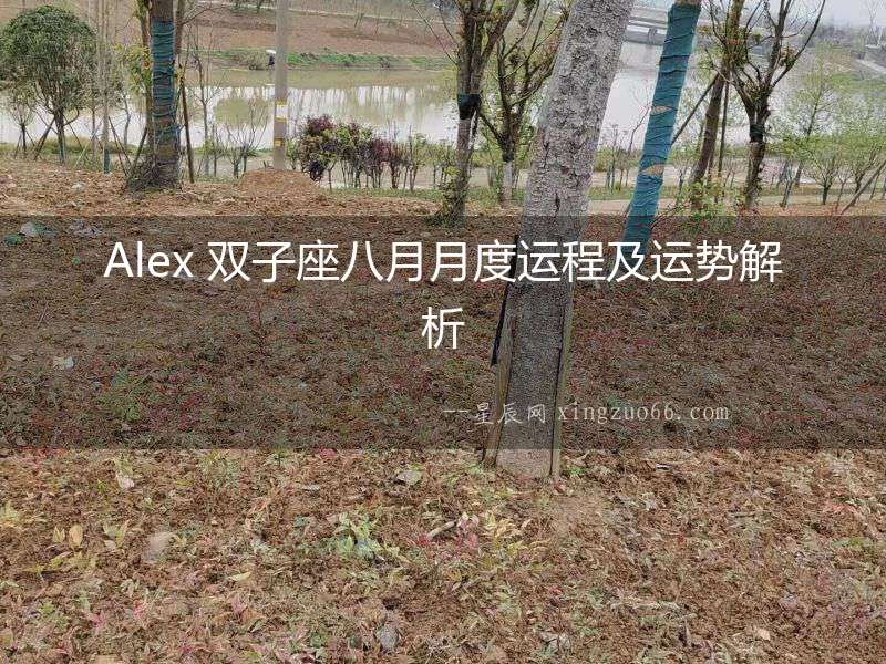 Alex 雙子座八月月度運程及運勢解析