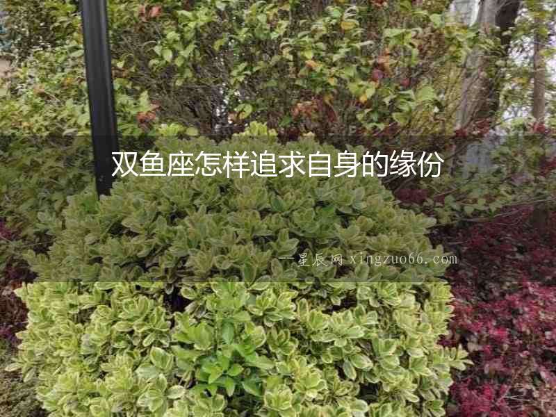 雙魚座怎樣追求自身的緣份