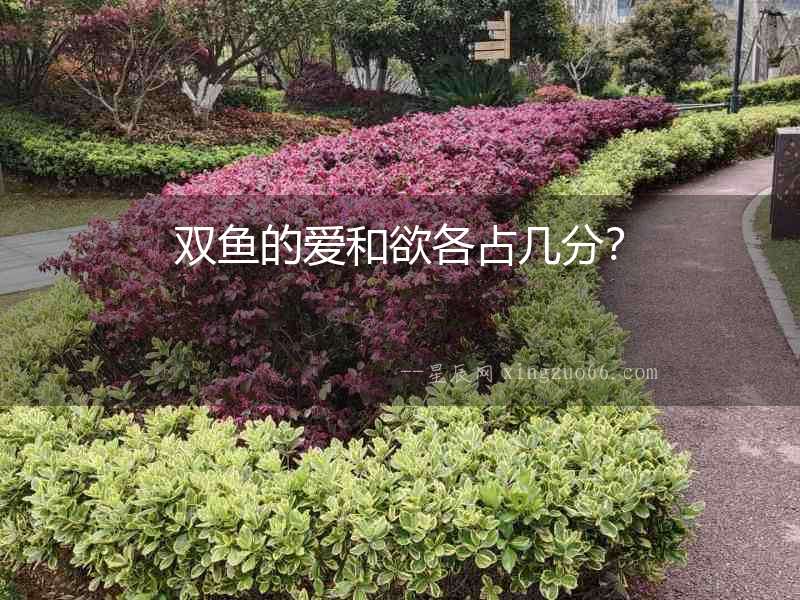 雙魚的愛和欲各占幾分？