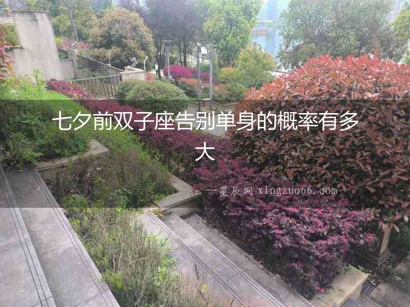 七夕前雙子座告別單身的概率有多大