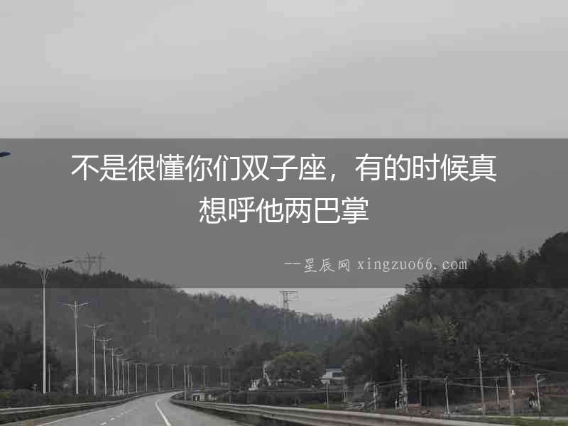 不是很懂你們雙子座，有的時候真想呼他兩巴掌
