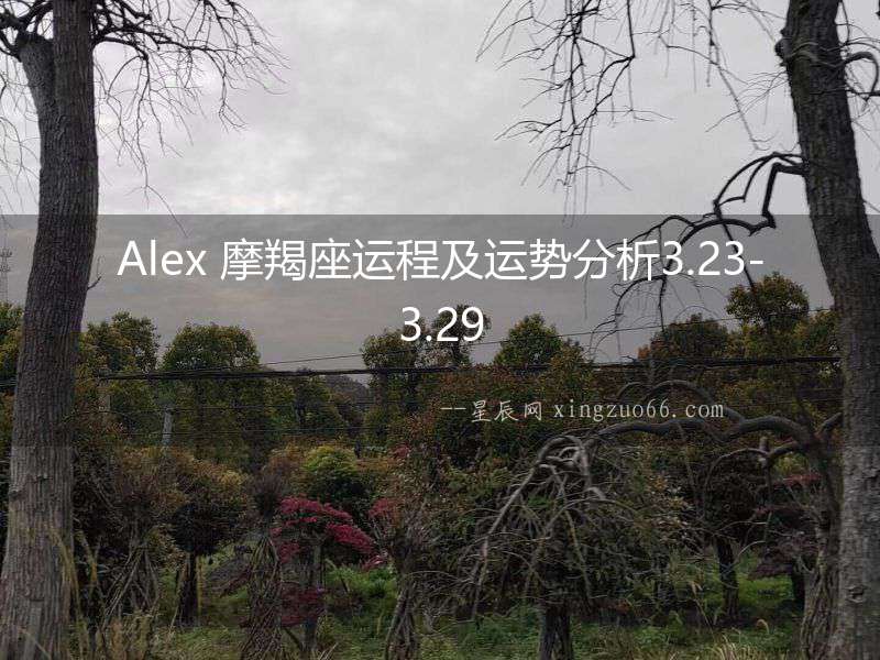 Alex 摩羯座運程及運勢分析3.23-3.29