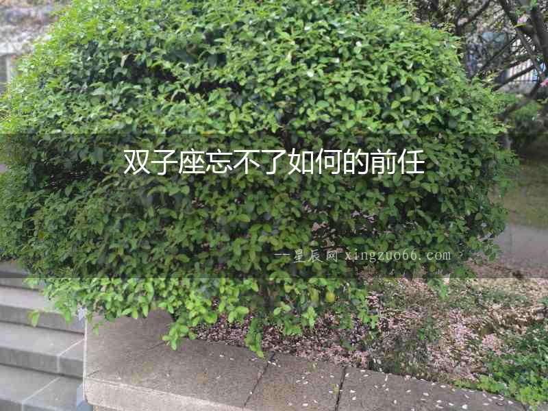 雙子座忘不了如何的前任