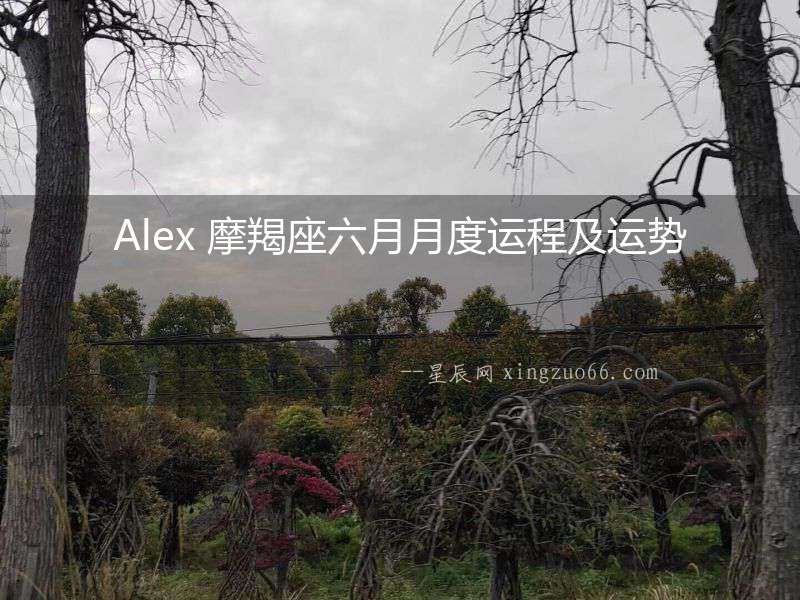 Alex 摩羯座六月月度運(yùn)程及運(yùn)勢(shì)