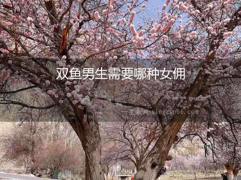 雙魚男生需要哪種女傭
