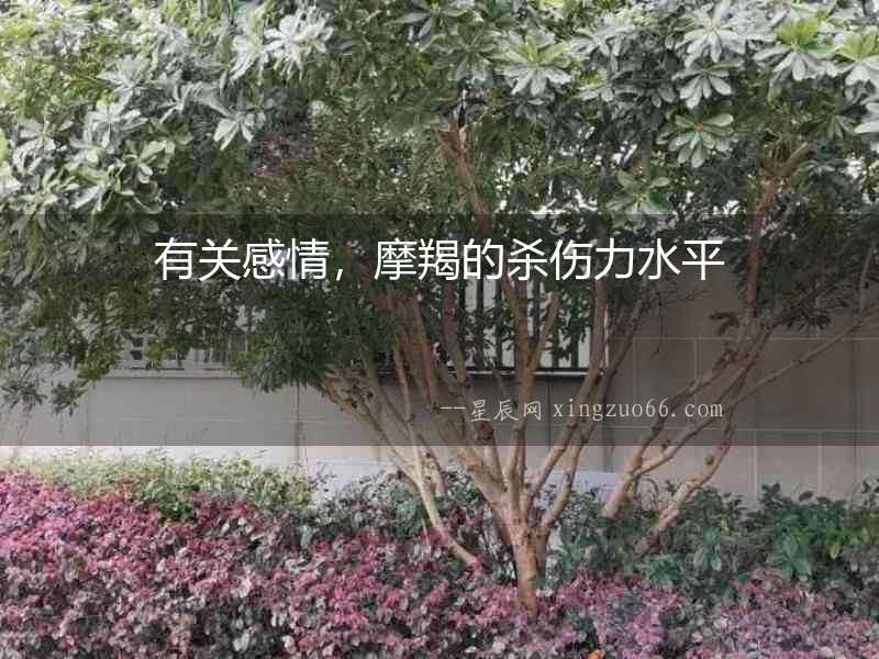 有關(guān)感情，摩羯的殺傷力水平