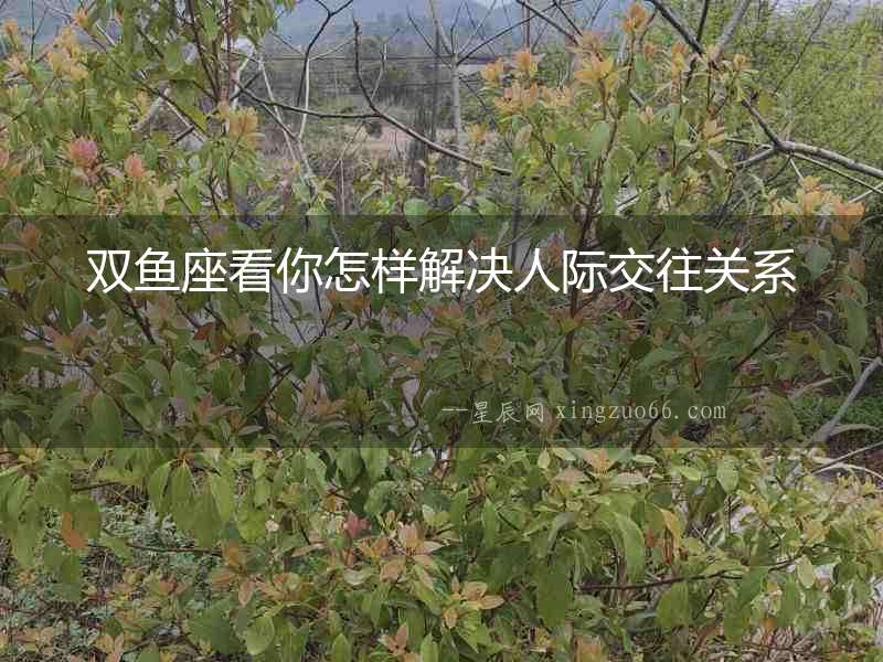 雙魚座看你怎樣解決人際交往關(guān)系