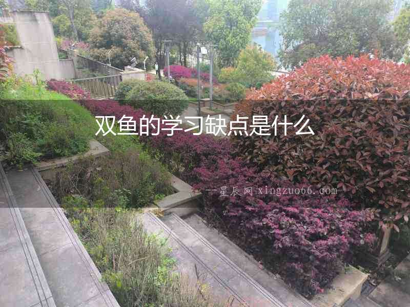 雙魚的學習缺點是什么