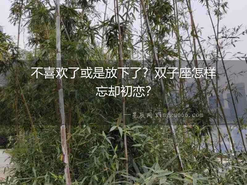 不喜歡了或是放下了？雙子座怎樣忘卻初戀？