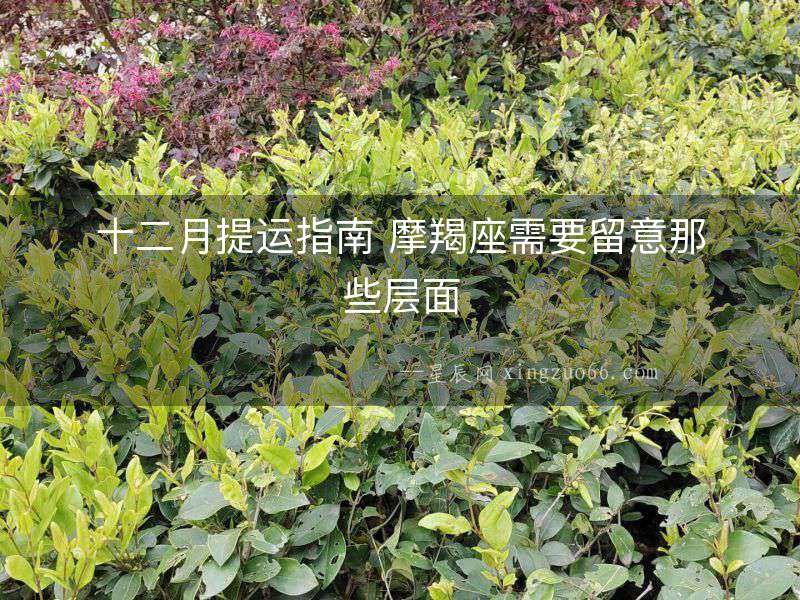 十二月提運指南 摩羯座需要留意那些層面
