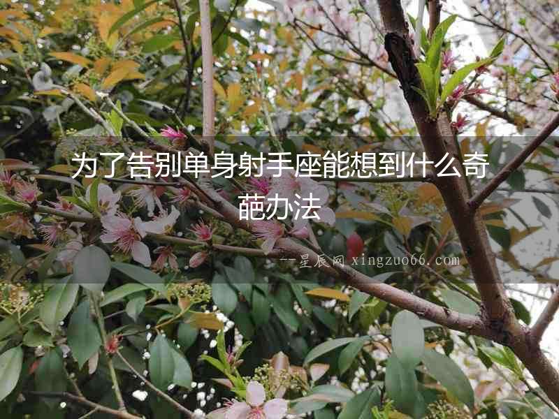 為了告別單身射手座能想到什么奇葩辦法