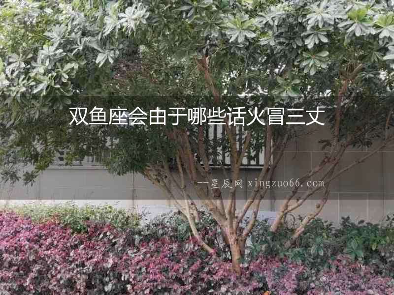 雙魚座會由于哪些話火冒三丈