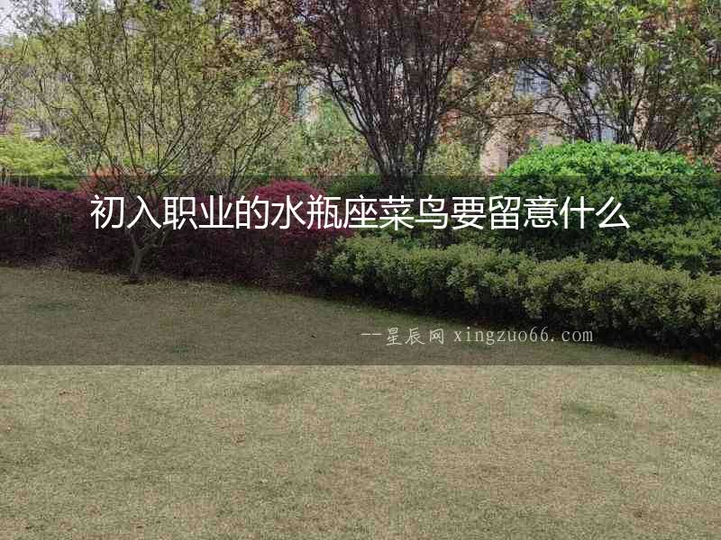 初入職業的水瓶座菜鳥要留意什么