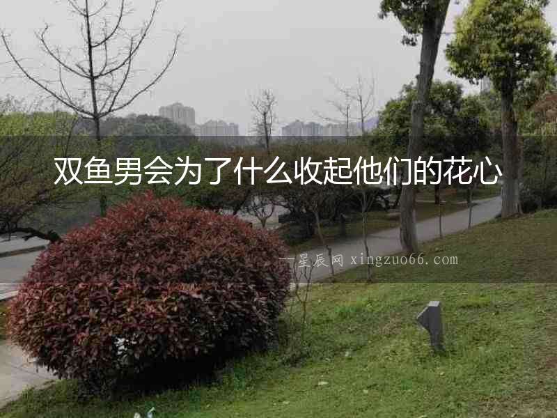 雙魚男會為了什么收起他們的花心