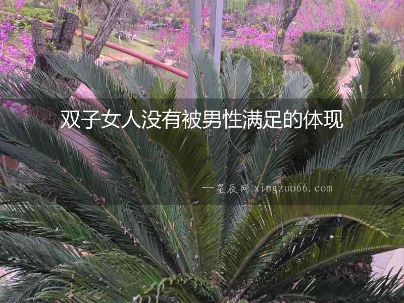 雙子女人沒有被男性滿足的體現