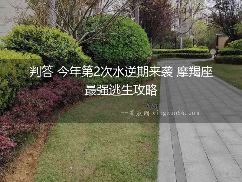 判答 今年第2次水逆期來襲 摩羯座最強逃生攻略