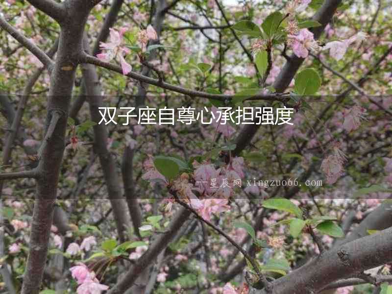雙子座自尊心承擔強度
