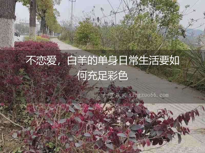 不戀愛(ài)，白羊的單身日常生活要如何充足彩色