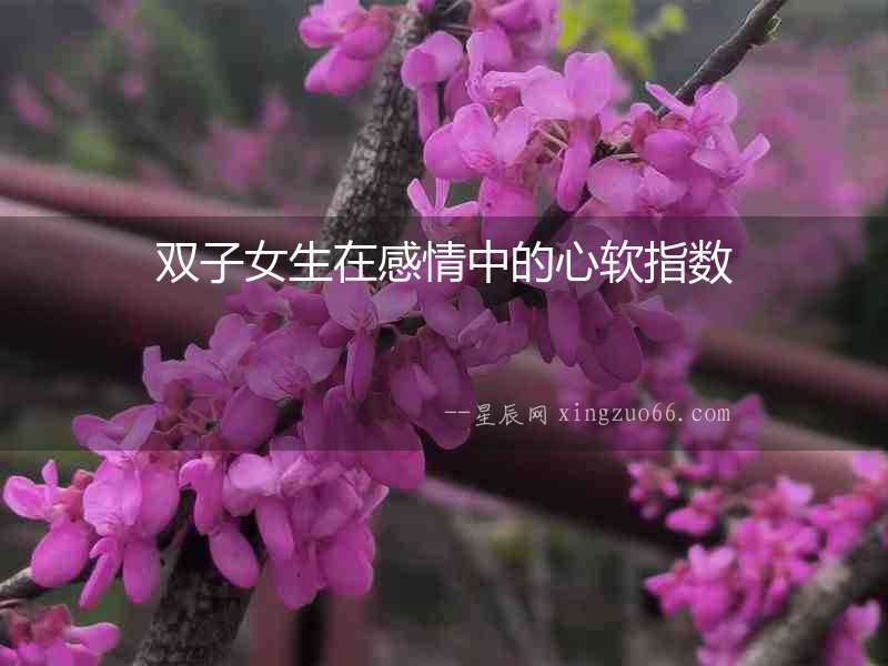 雙子女生在感情中的心軟指數