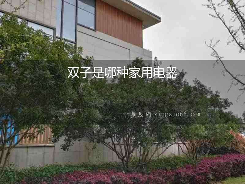 雙子是哪種家用電器