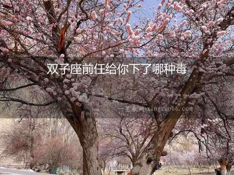 雙子座前任給你下了哪種毒