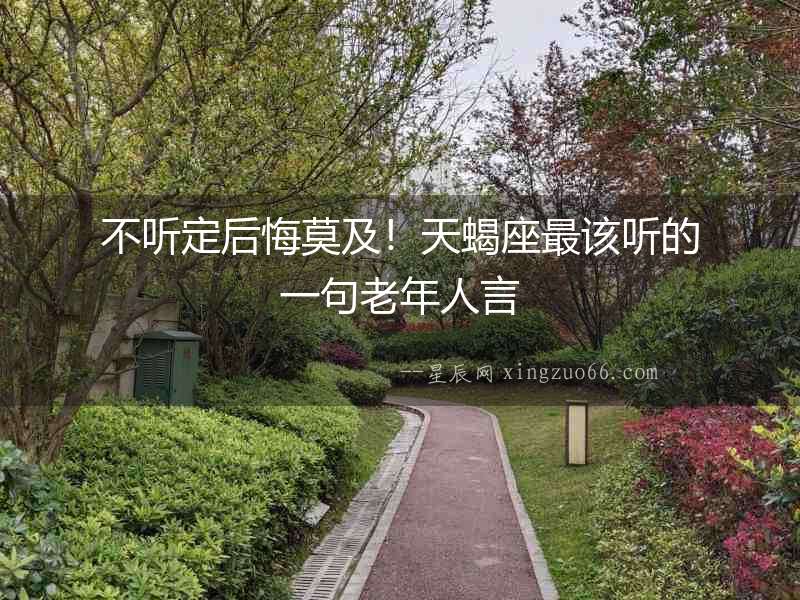 不聽定后悔莫及！天蝎座最該聽的一句老年人言