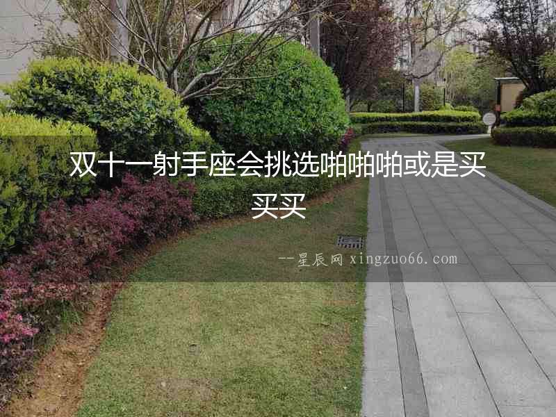 雙十一射手座會挑選啪啪啪或是買買買