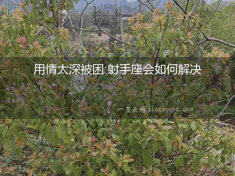 用情太深被困 射手座會如何解決
