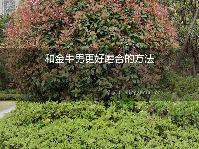 和金牛男更好磨合的方法