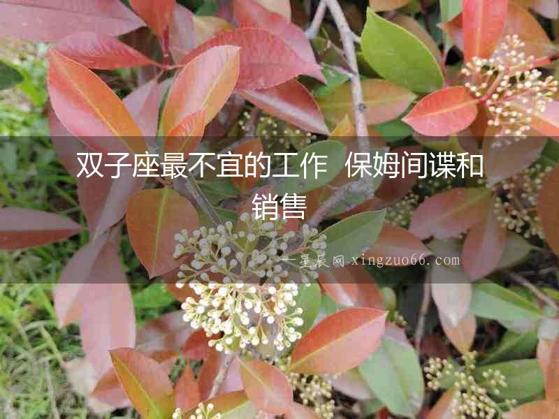 雙子座最不宜的工作  保姆間諜和銷售