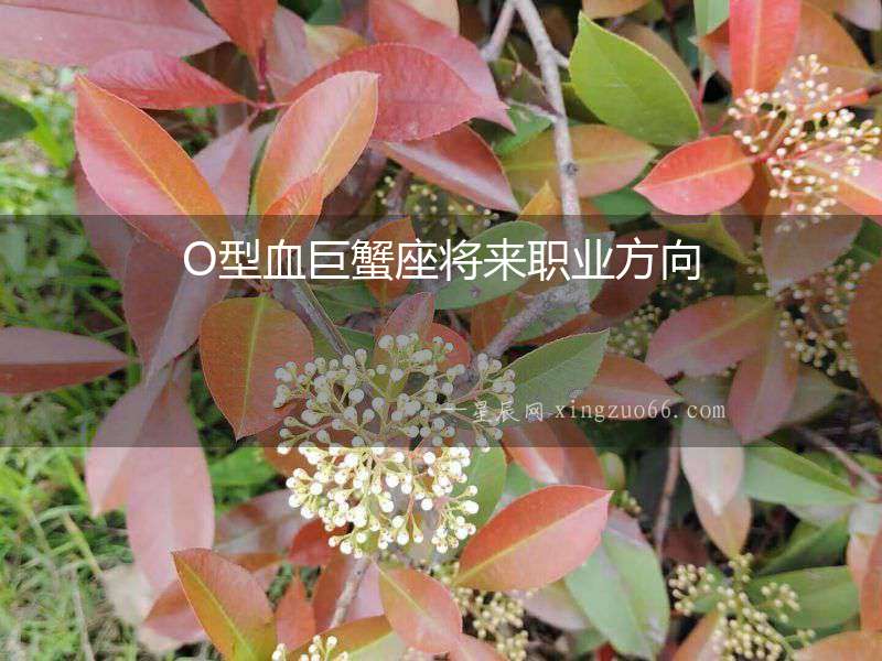 O型血巨蟹座將來職業方向
