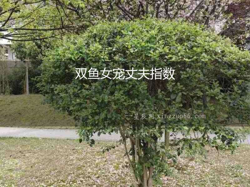 雙魚女寵丈夫指數