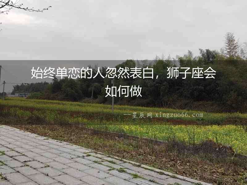始終單戀的人忽然表白，獅子座會如何做