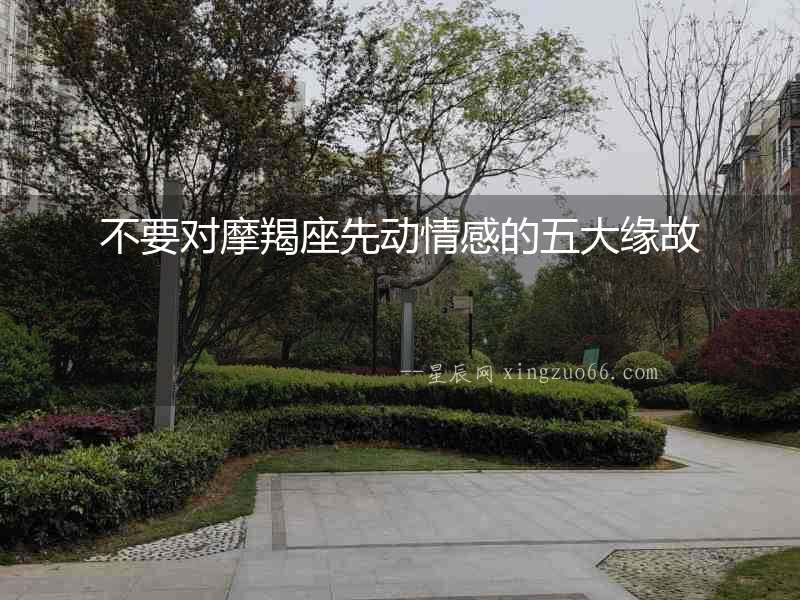 不要對摩羯座先動情感的五大緣故