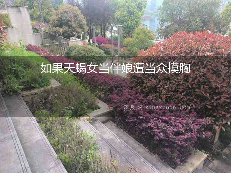 如果天蝎女當伴娘遭當眾摸胸