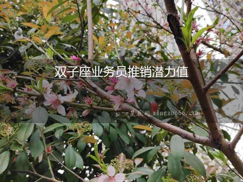 雙子座業(yè)務(wù)員推銷潛力值