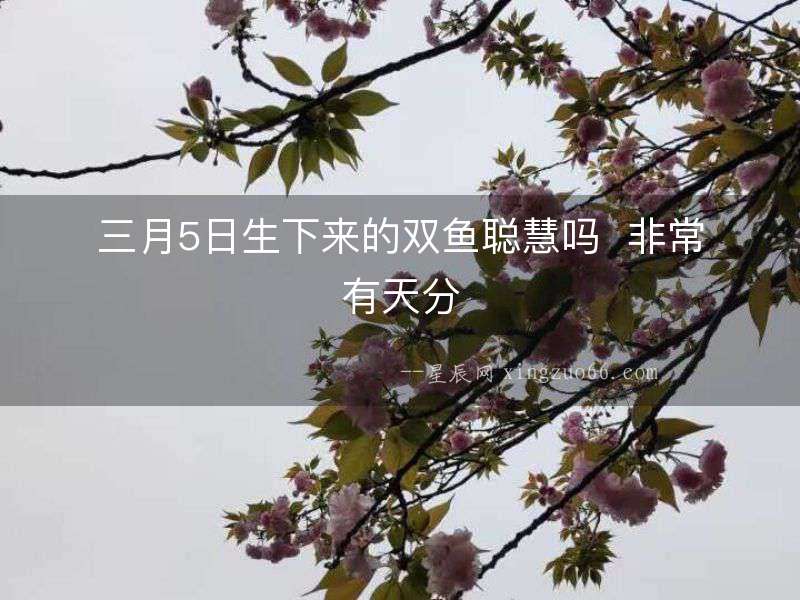 三月5日生下來(lái)的雙魚(yú)聰慧嗎  非常有天分