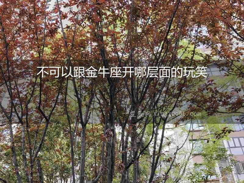 不可以跟金牛座開哪層面的玩笑