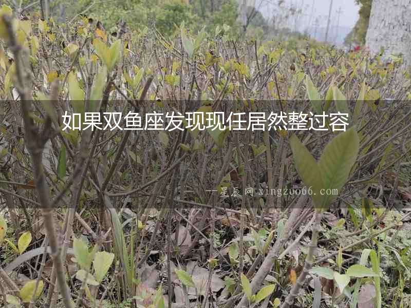 如果雙魚座發現現任居然整過容