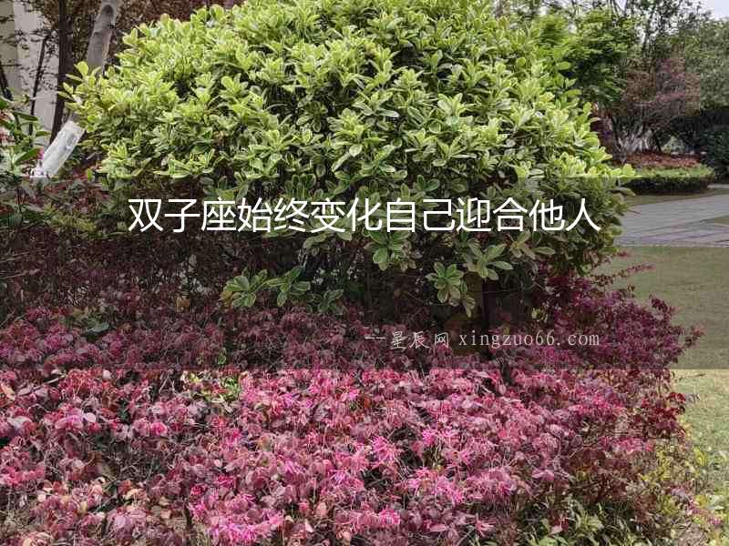 雙子座始終變化自己迎合他人