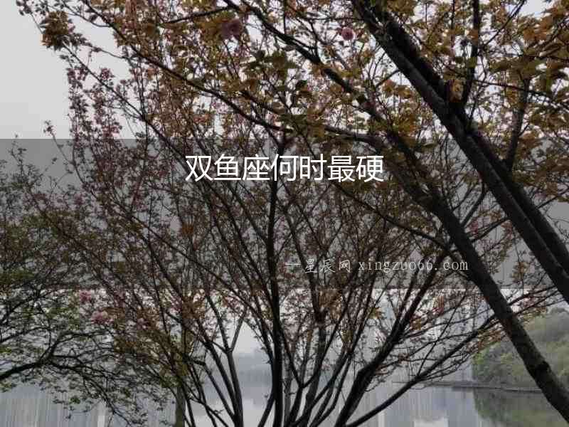 雙魚座何時最硬