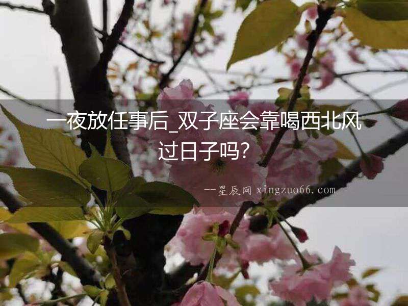 一夜放任事后_雙子座會靠喝西北風過日子嗎？