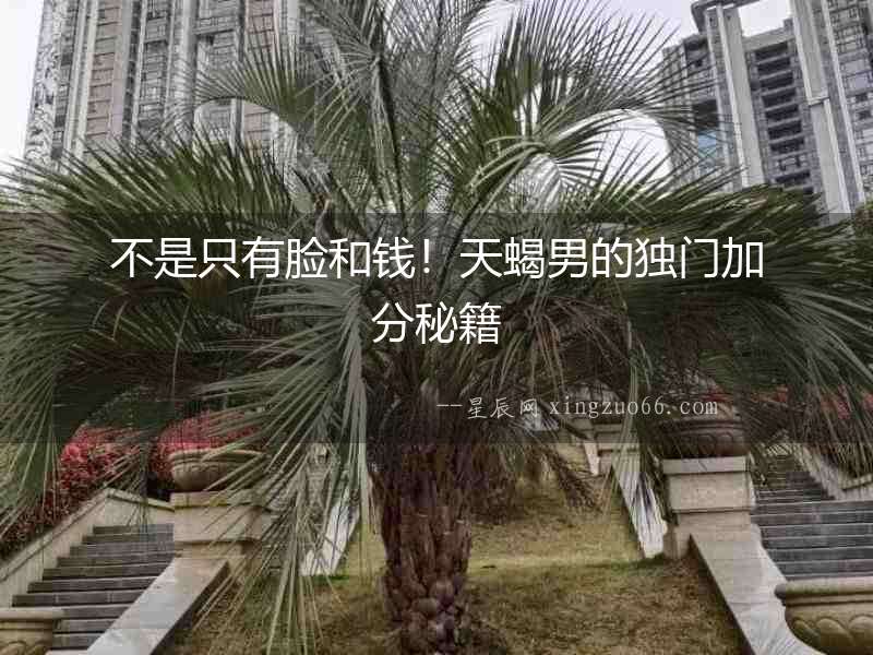 不是只有臉和錢！天蝎男的獨門加分秘籍