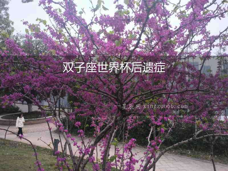 雙子座世界杯后遺癥