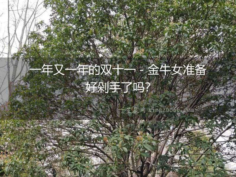 一年又一年的雙十一－金牛女準備好剁手了嗎？