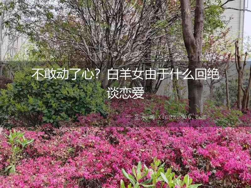 不敢動(dòng)了心？白羊女由于什么回絕談戀愛