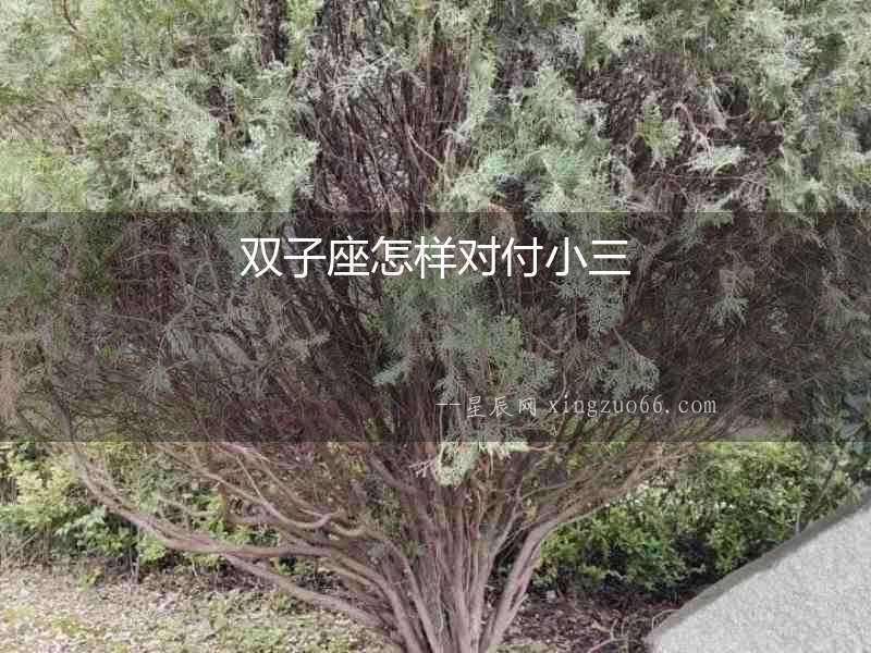 雙子座怎樣對(duì)付小三
