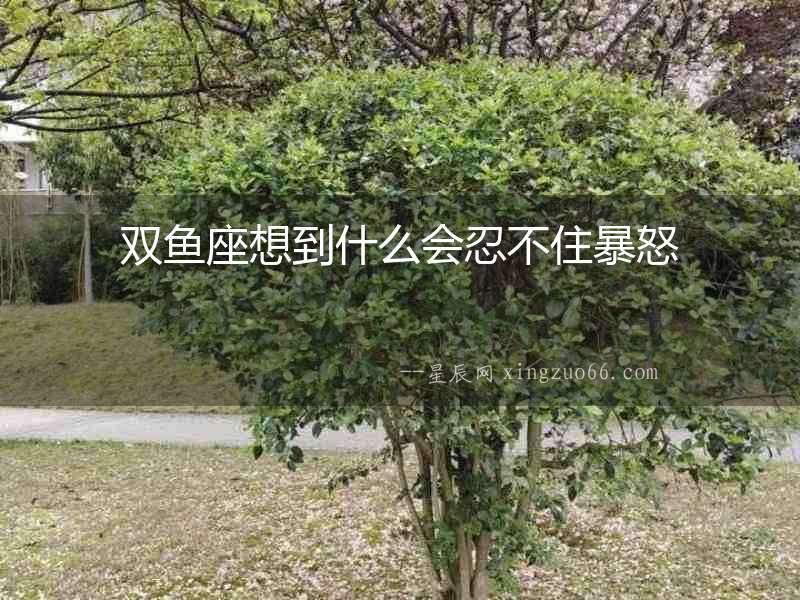 雙魚座想到什么會忍不住暴怒