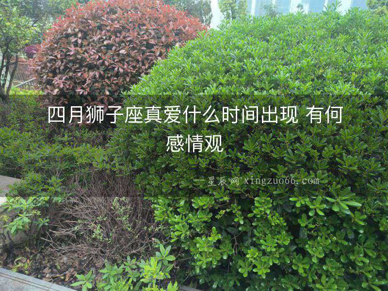 四月獅子座真愛什么時間出現 有何感情觀